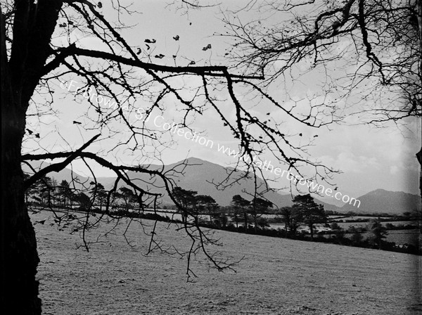 VIEW FROM LORETO CONVENT